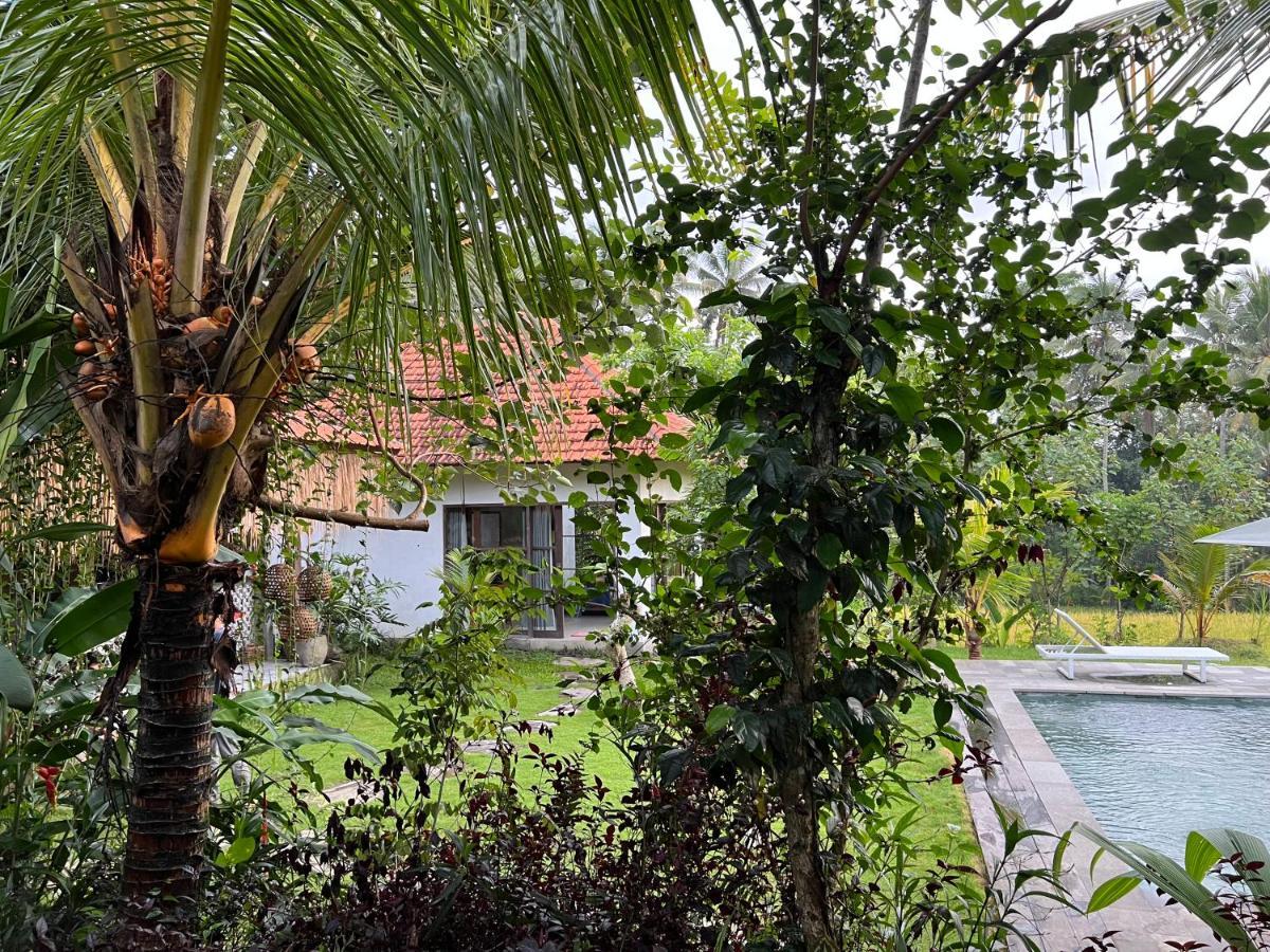 Uma Mupu Retreat Villa Gianyar  Exterior photo