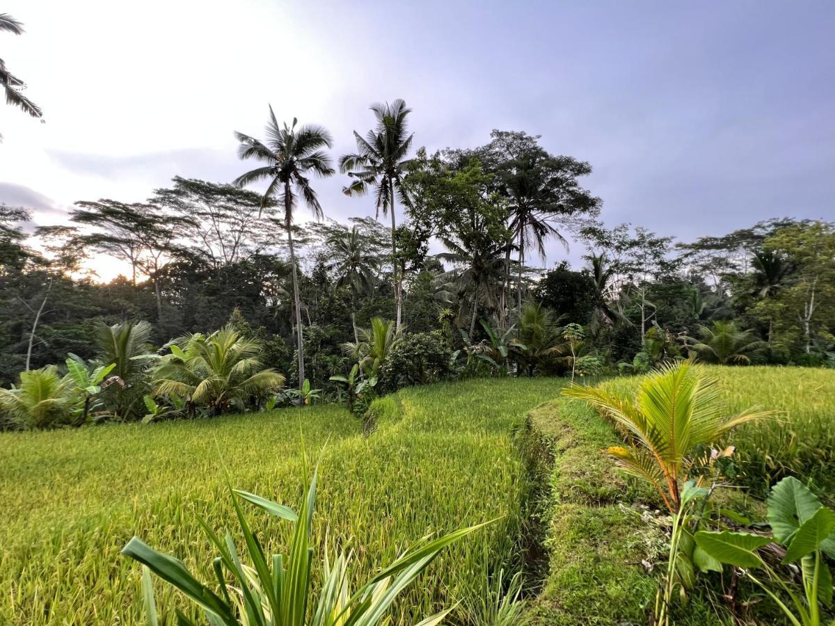 Uma Mupu Retreat Villa Gianyar  Exterior photo