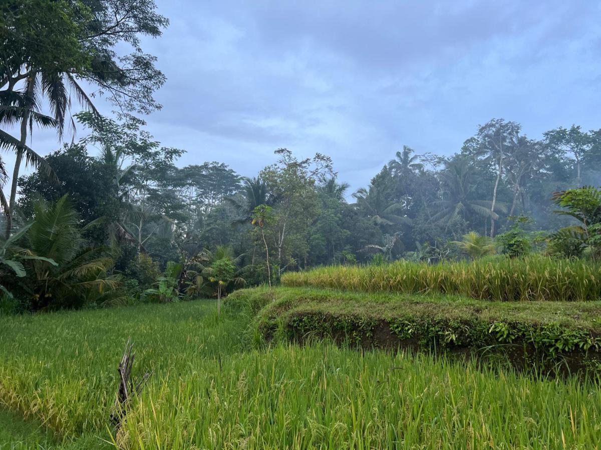 Uma Mupu Retreat Villa Gianyar  Exterior photo